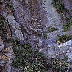 Click to see: maguireiJL2