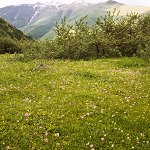 Click to see: algidaMA3