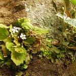 Click to see: filipesCH1