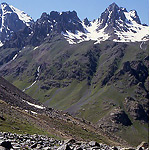 Click to see: longipesMA1