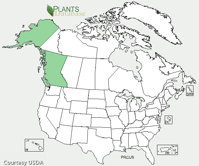 ssp saxifragifolia Distribution Map 